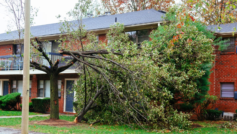 Storm Damage